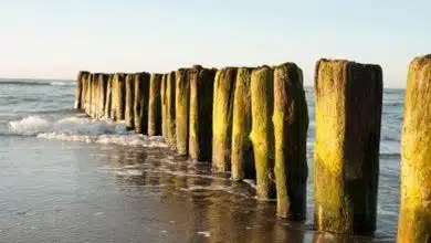 Meer bei Boltenhagen