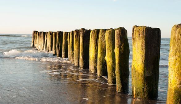 Meer bei Boltenhagen