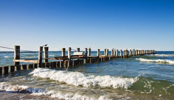 Ferien in Zingst