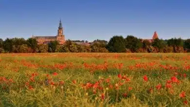 Greifswald