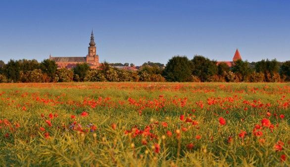 Greifswald