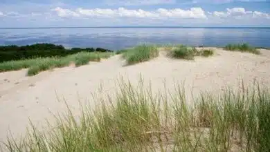 Strand in Boltenhagen