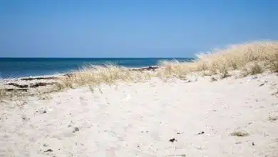 Fehmarn