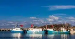 Fischerboote auf der Insel Poel