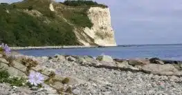 Kreidefelsen Rügen