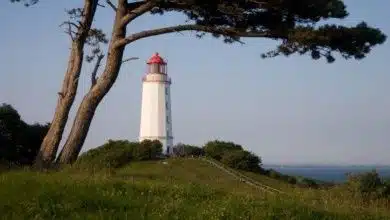 Der Leuchtturm Hiddensee