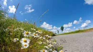 Das Wetter auf Fehmarn