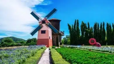 Windmühle auf Usedom