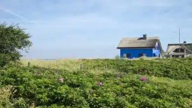 Strandhaus in Heiligenhafen