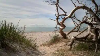 Strand in Prerow