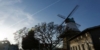 Windmühle in Kappeln